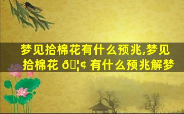 梦见拾棉花有什么预兆,梦见拾棉花 🦢 有什么预兆解梦